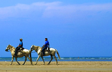 Costières Camargue Méditerranée